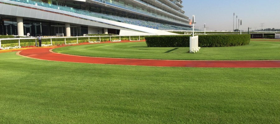 02a763de4fad34a919f4424ed589e149