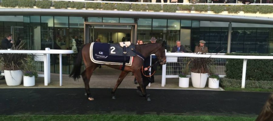 10430418_752046241517899_2537775655536780450_n