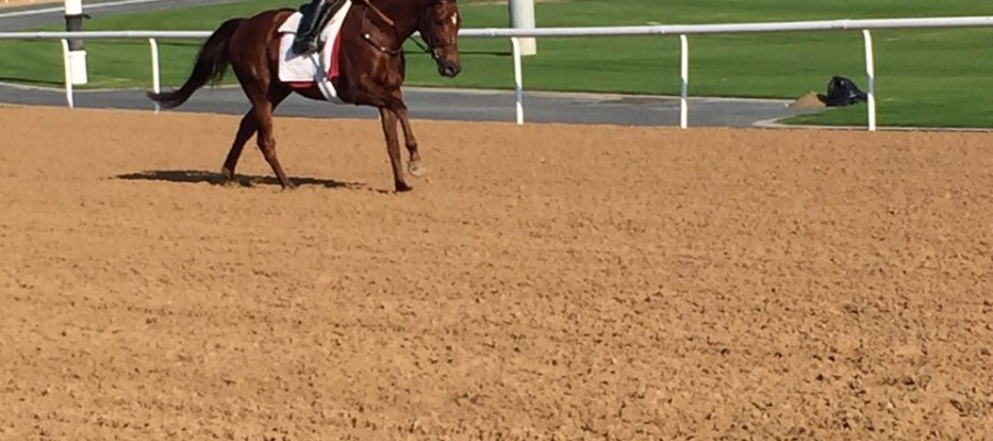 1b3f6b75745c331ffa4c1bb8165896c4