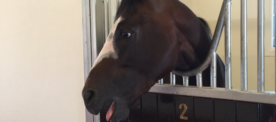 2f907db7720af8fb4c0164979579a28e