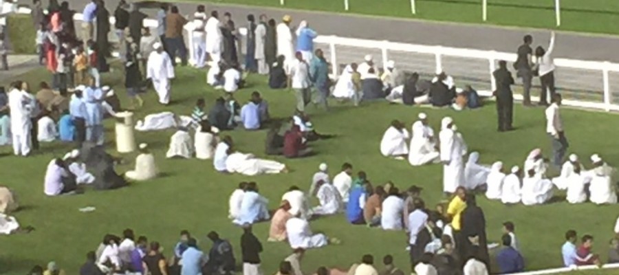 319c077080975cfdec47eed1861c412c