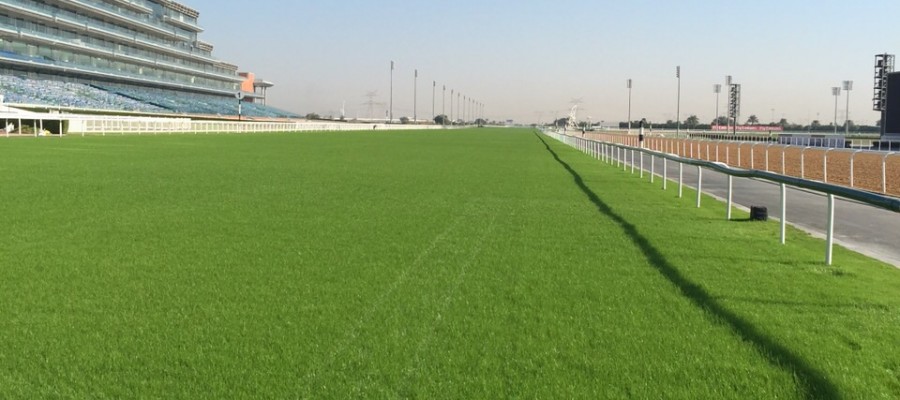 6f920336f3c1112fbeb66029fa767b6a