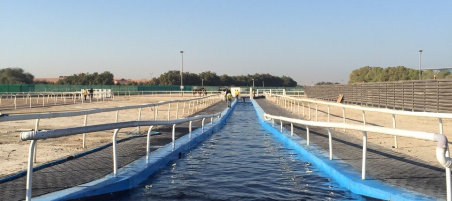 a8841880a5e8f69ea05cd7dd3e347667