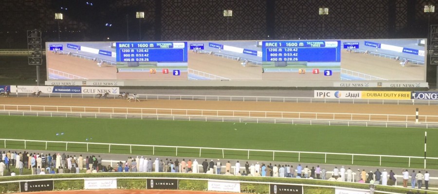 c42cf00ed6db8624e05afae57d316718