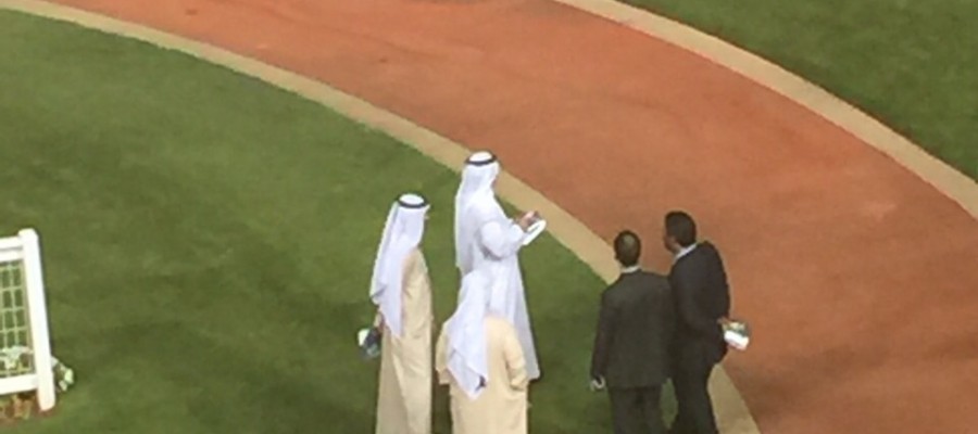 c52c2effe8a35296057a32cd57905d29