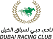 Meydan Racecourse_500px
